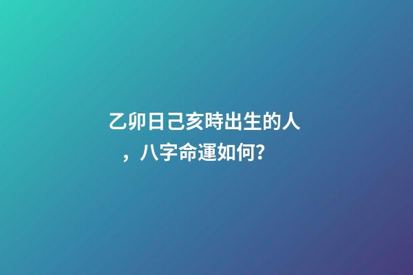 乙卯日己亥時出生的人，八字命運如何？